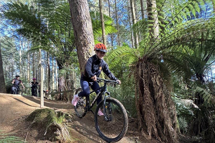 Downhill smiles