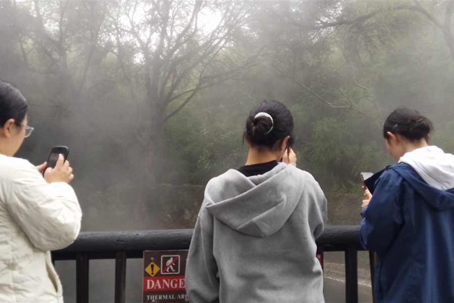 Kuirau Park thermal area.