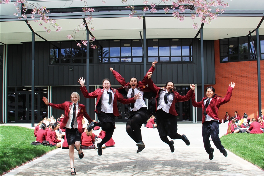 Mahi Tahi Project Update