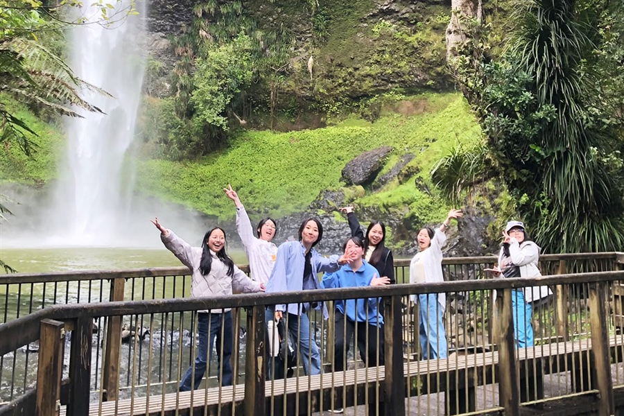 Bridal Veil Falls, Raglan