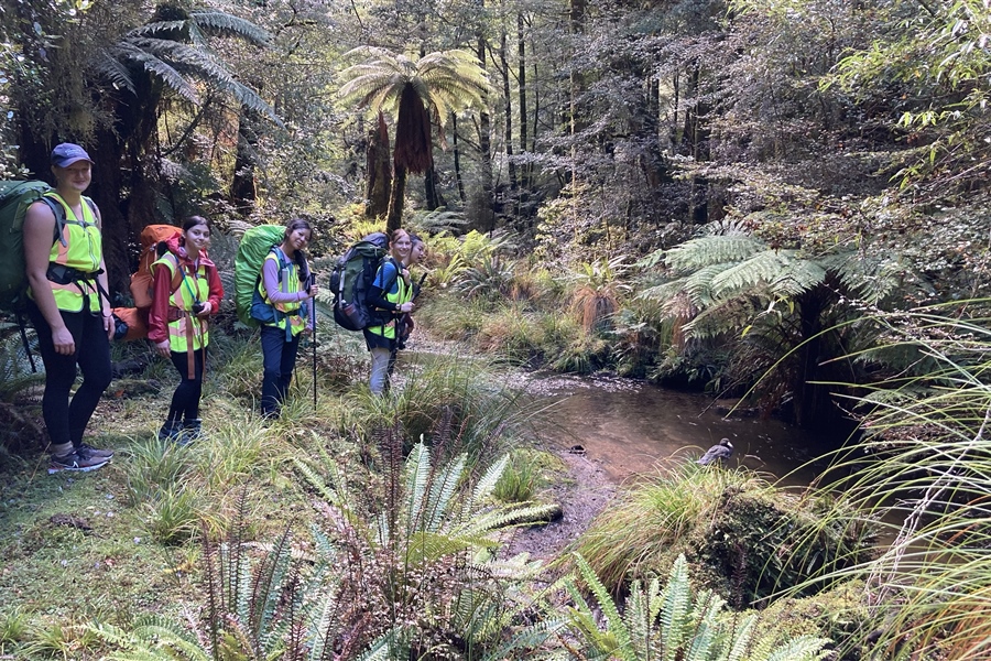 Duke of Edinburgh take on Whirinaki Forest