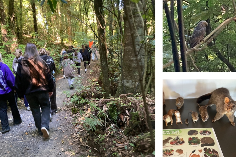 Learning Outside the Classroom