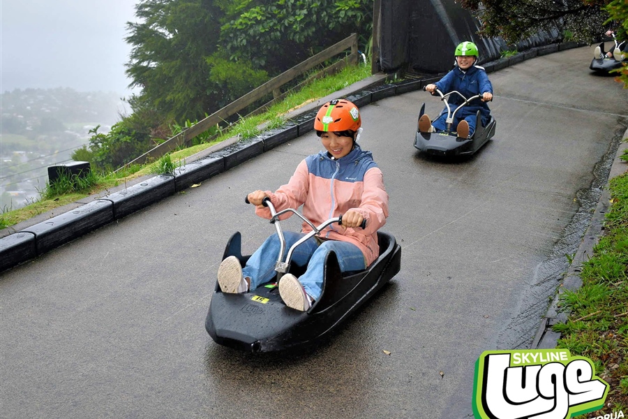 Down the Luge fast track!
