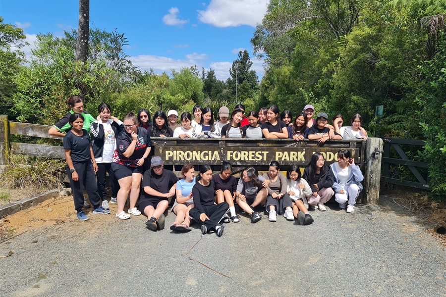 Camp Discovery – Pirongia Forest Park